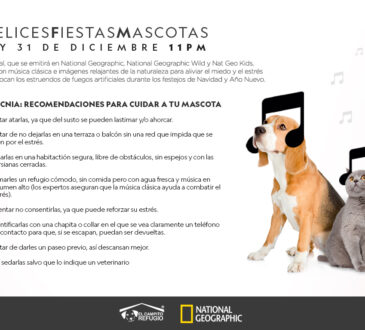 Hoy 31 de diciembre a partir de las 11:45 PM, National Geographic presenta la cuarta edición de Felices Fiestas, Mascotas.