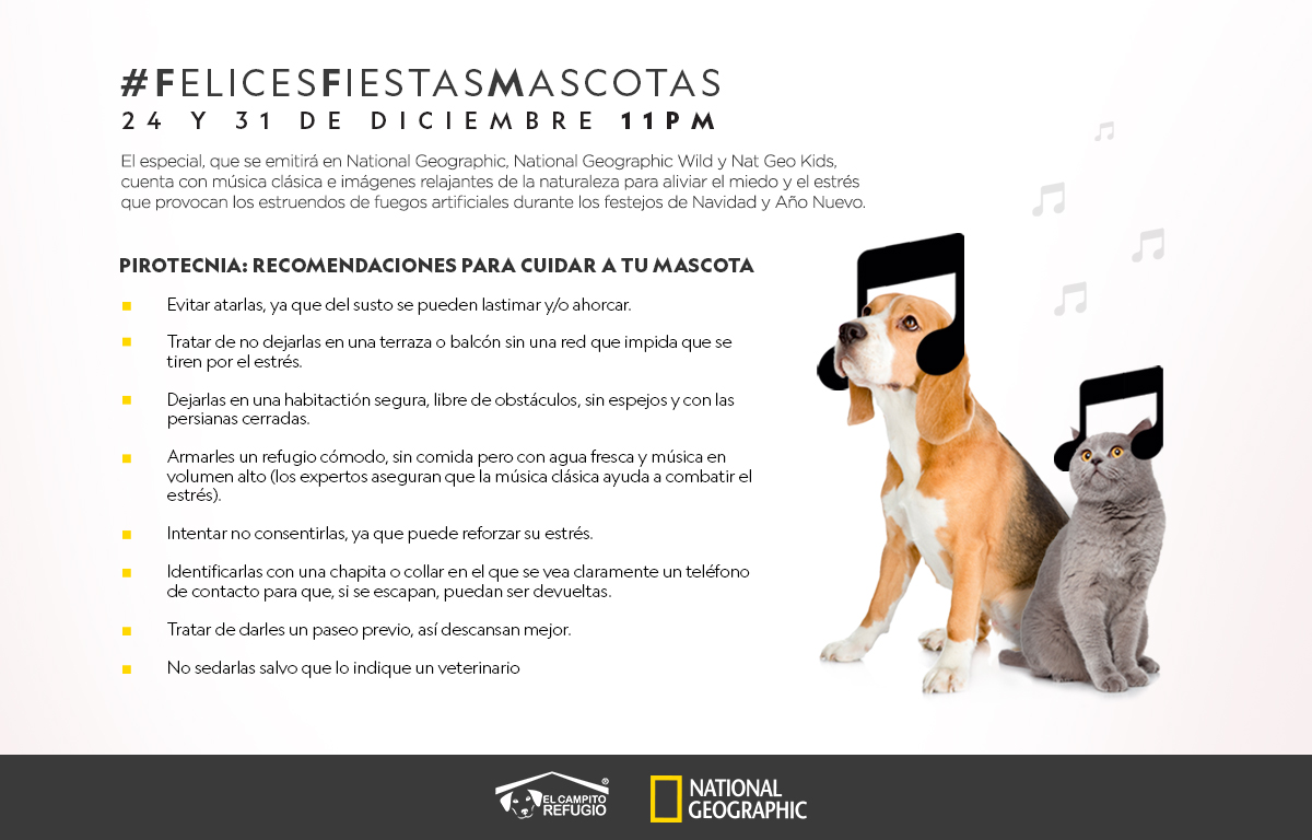 Hoy 31 de diciembre a partir de las 11:45 PM, National Geographic presenta la cuarta edición de Felices Fiestas, Mascotas.