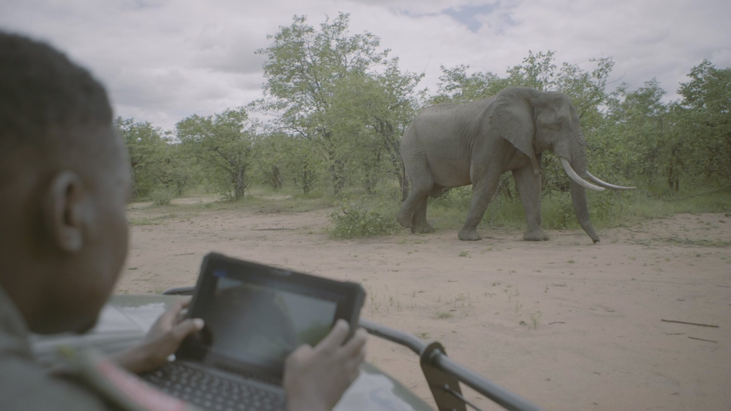 Dell Technologies anuncia una colaboración con Elephants Alive, una organización sin fines de lucro de Sudáfrica