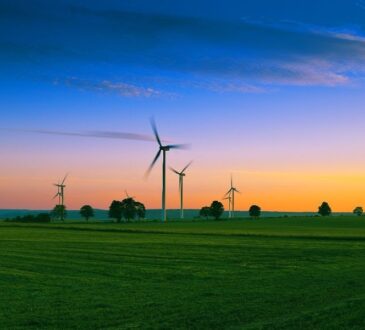 AWS Clean Energy Accelerator es la primera aceleradora de AWS centrada en fomentar el rápido crecimiento de las innovaciones limpias.