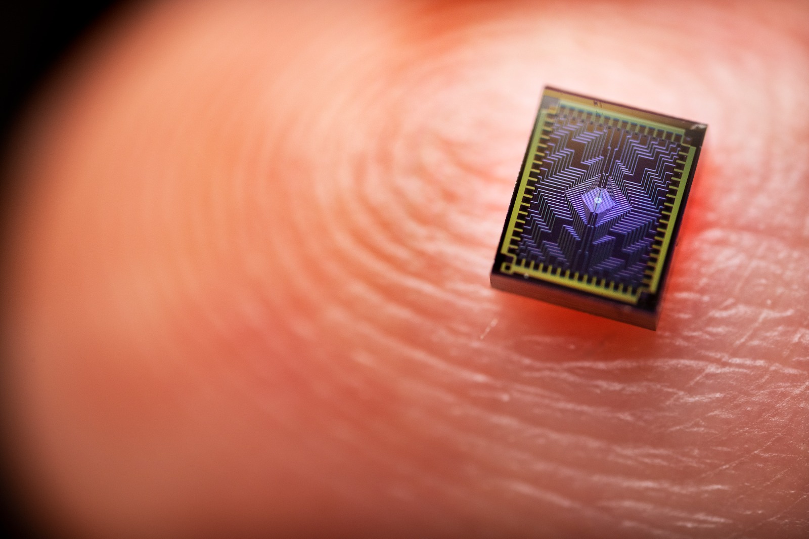 Intel anunció el lanzamiento del chip Tunnel Falls