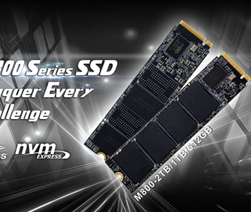 BIOSTAR anunció el SSD M.2 M800