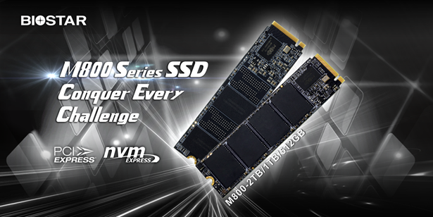 BIOSTAR anunció el SSD M.2 M800