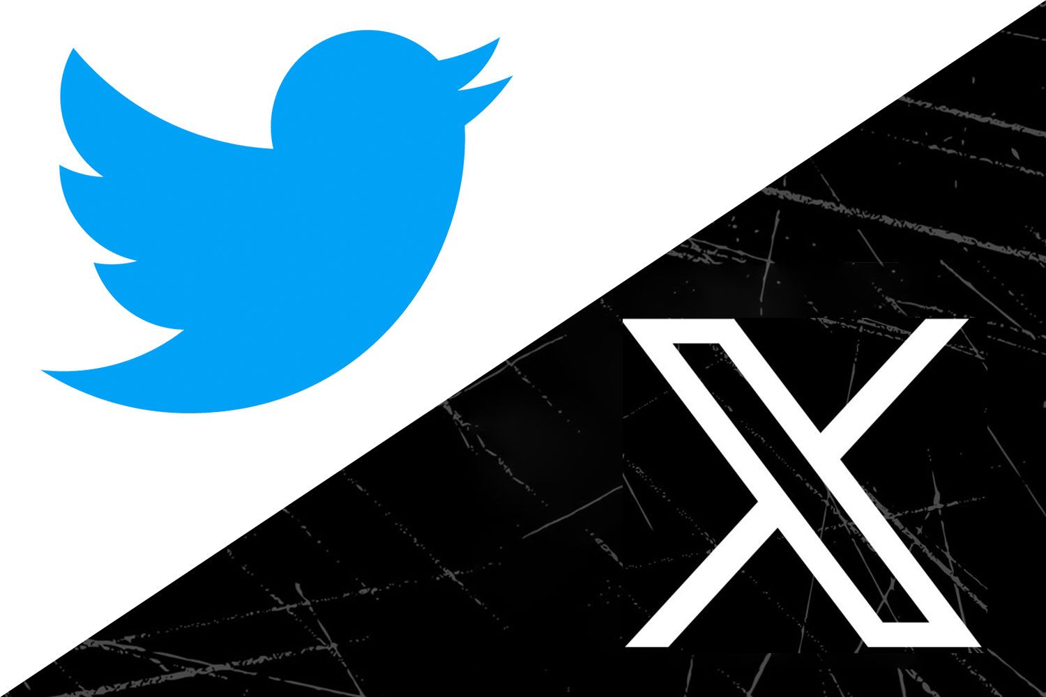 El rebranding de Twitter tiene la mirada puesta en el  futuro