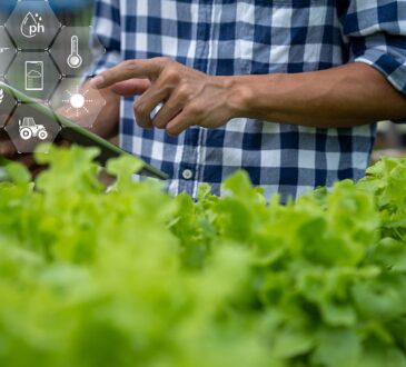 Idemia habla de la conectividad IoT en el sector agrícola