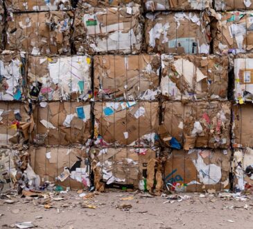 San Miguel Industrias triplicará su capacidad de reciclaje en la región