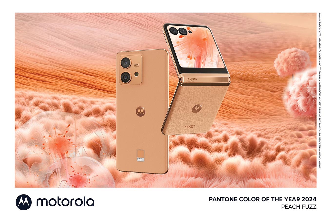 Motorola y Pantone anuncian en color del año 2024