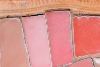 Radar País: Colombia presenta los temas del debate digital en Colombia