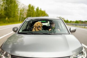 Gopass ahora funciona para las Zonas de Parqueo Pago en Bogotá
