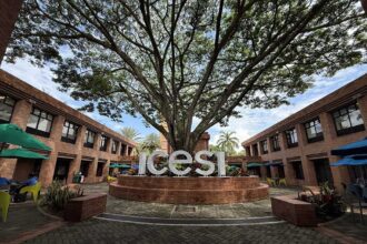 Universidad Icesi expande sus recursos de enseñanza en IA