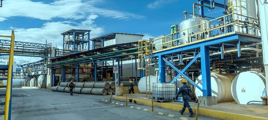 Brinsa anuncia gran inversión en tecnología e innovación en Colombia