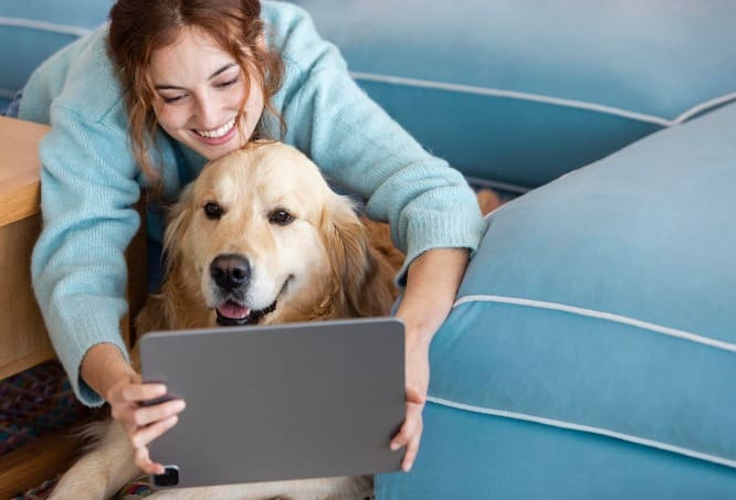 Oracle NetSuite ha optimizado procesos de Laika