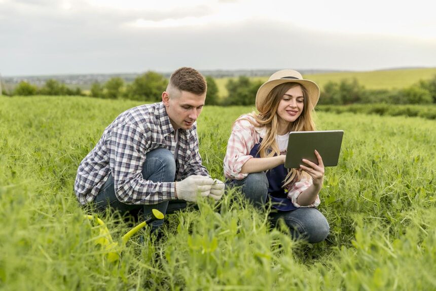 Rotorr demuestra que la innovación también está por toda Colombia