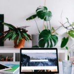 Funciones de Booking.com que todo viajero debería conocer