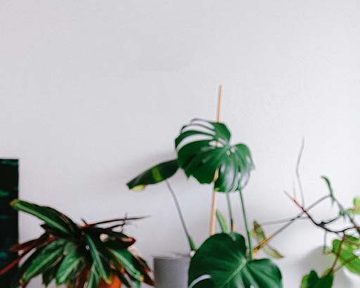 Funciones de Booking.com que todo viajero debería conocer