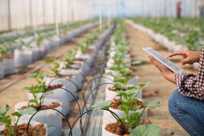 NEC Corporation y ClimateAi presentan novedades en TICAD 2025