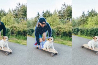 OPPO apuesta por la fotografía, diseño y rendimiento