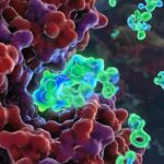 Telefónica, Vithas y la UFV aplican computación cuántica en la creación de fármacos contra el cáncer