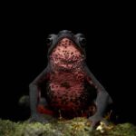 Colombiano gana premio internacional de fotografía