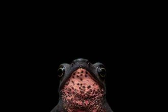 Colombiano gana premio internacional de fotografía