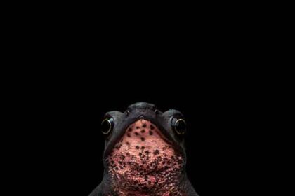 Colombiano gana premio internacional de fotografía