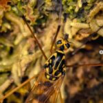 Consejos de un fotógrafo profesional con el HUAWEI Mate X7