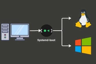 Guía práctica para tener Linux y Windows 11 en el mismo lugar