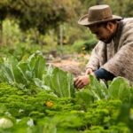 Inteligencia Artificial como motor de competitividad del agro en Colombia