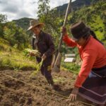 América Latina no logra cerrar la brecha entre género y clima