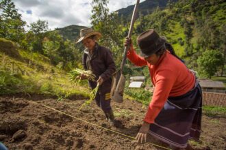 América Latina no logra cerrar la brecha entre género y clima