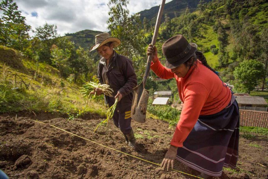 América Latina no logra cerrar la brecha entre género y clima
