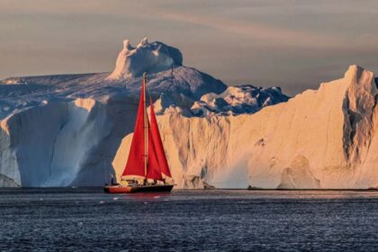 Cómo la fotografía móvil de HUAWEI puede revelar más detalles