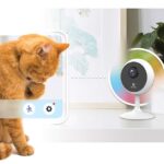 Cómo los hogares inteligentes están cambiando el cuidado de mascotas