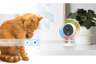 Cómo los hogares inteligentes están cambiando el cuidado de mascotas