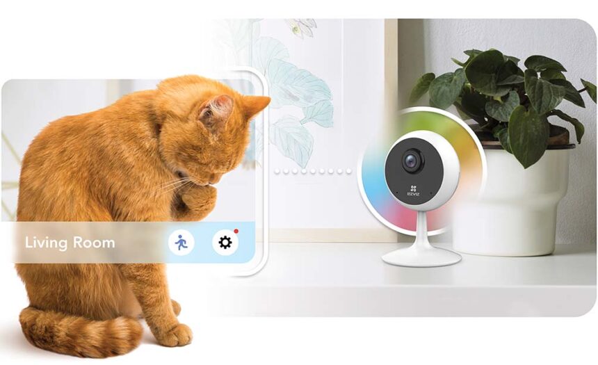 Cómo los hogares inteligentes están cambiando el cuidado de mascotas