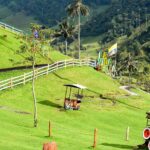 Experiencias en Colombia que despiertan el niño interior