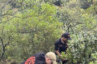 Kaizen Gaming aportó 962 horas a iniciativas ambientales y comunitarias