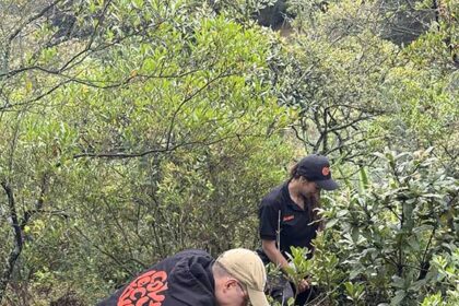 Kaizen Gaming aportó 962 horas a iniciativas ambientales y comunitarias