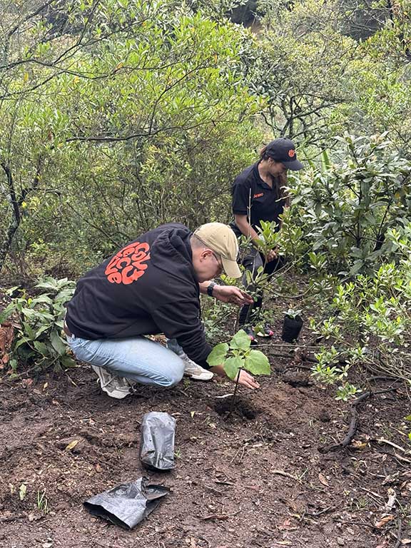 Kaizen Gaming aportó 962 horas a iniciativas ambientales y comunitarias