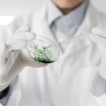 AlgaeVision es un proyecto de IA para transformar el análisis de microalgas