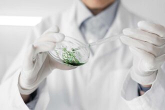 AlgaeVision es un proyecto de IA para transformar el análisis de microalgas