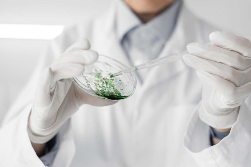 AlgaeVision es un proyecto de IA para transformar el análisis de microalgas