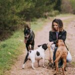 Buzzmonitor revela las marcas de mascotas más buscadas en Colombia
