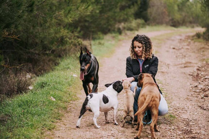 Buzzmonitor revela las marcas de mascotas más buscadas en Colombia