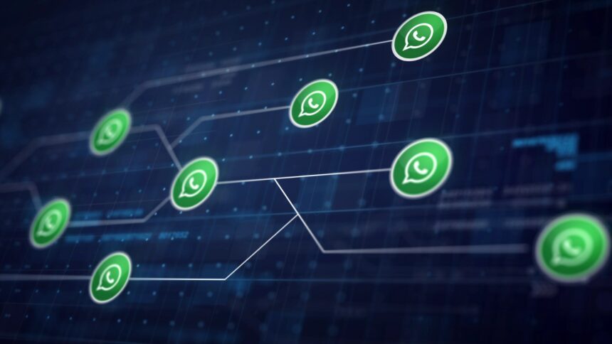 Infobip sobre los nombres de usuario de WhatsApp en Colombia
