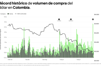 Lemon registra un récord histórico de compra de dólar digital