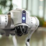 Universidad de Lima desarrolla perros robot que pueden ayudar encontrar sobrevivientes